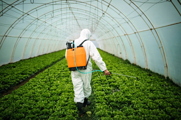 Best Affordable Pest Control Services  in Blaine, MN