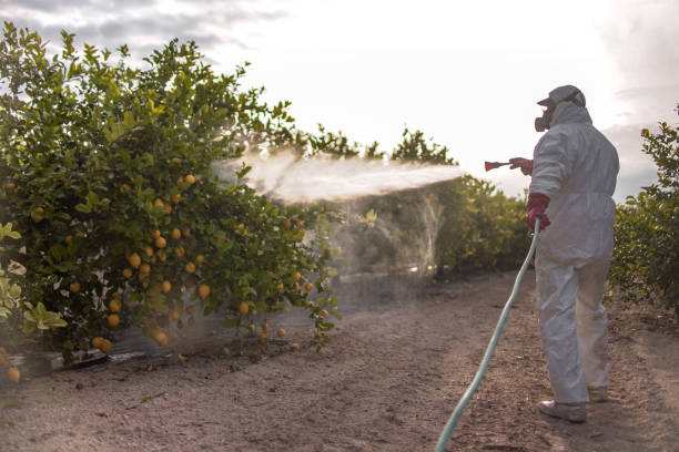 Best Best Pest Control Companies  in Blaine, MN