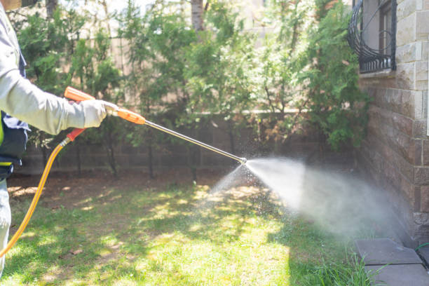 Reliable Blaine, MN Pest Control Solutions