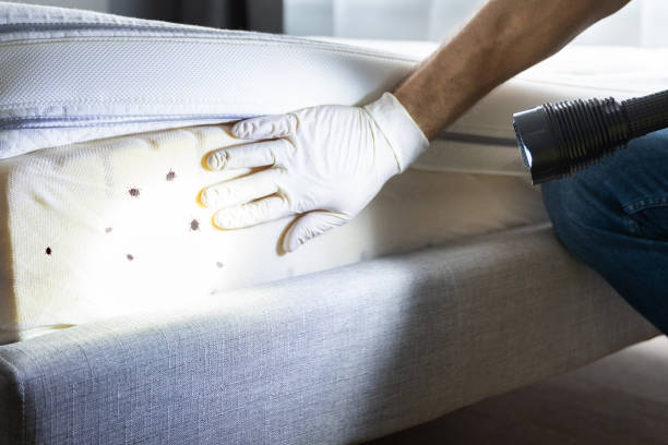 Best Affordable Pest Control Services  in Blaine, MN