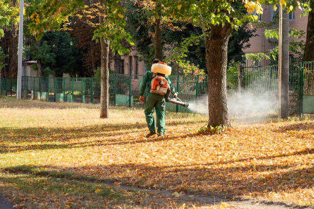 Best Pest Control Near Me  in Blaine, MN